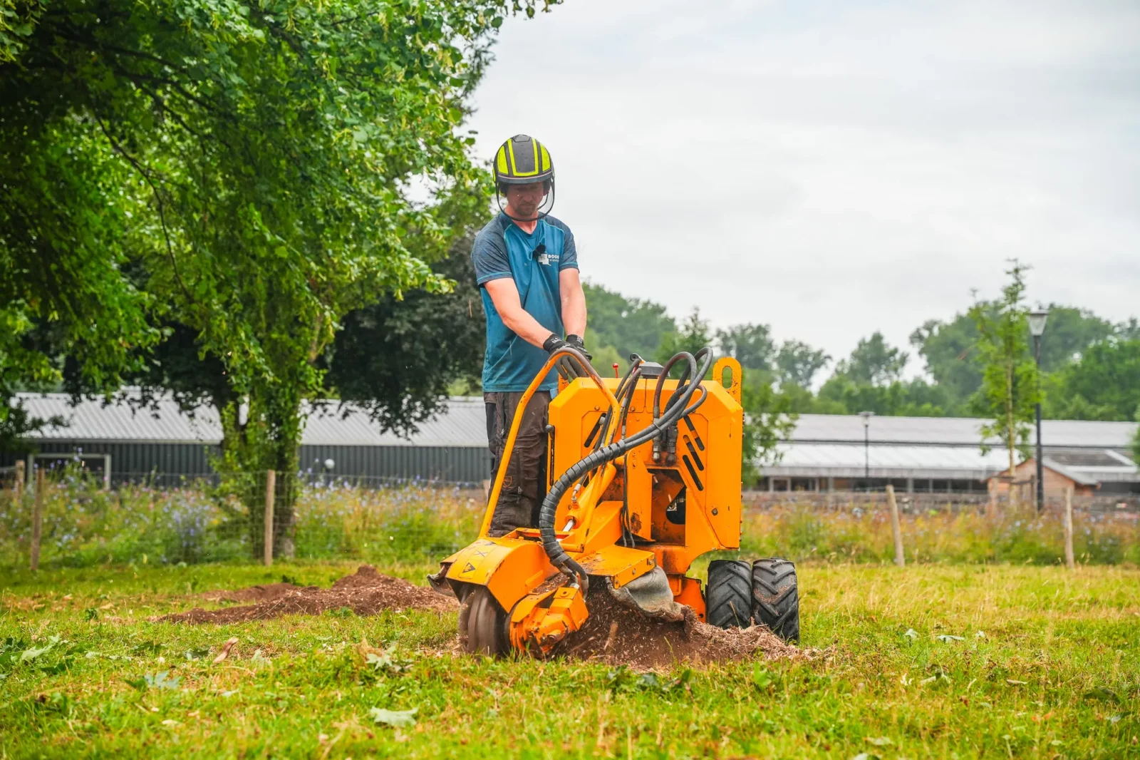 Stobbenfrees boomverzorger
