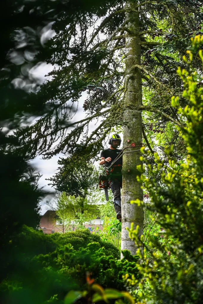 Natuur en milieu banen