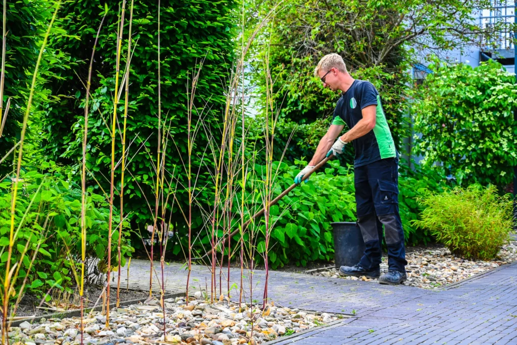 BBL opleidingen mbo in het groen