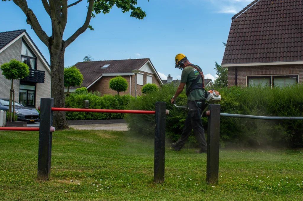 Groene banen in de natuur