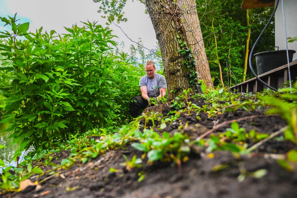 Groene banen vinden in de natuur