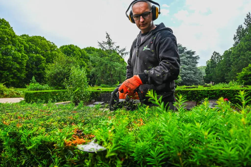 Hovenier vacatures met doorgroeikansen