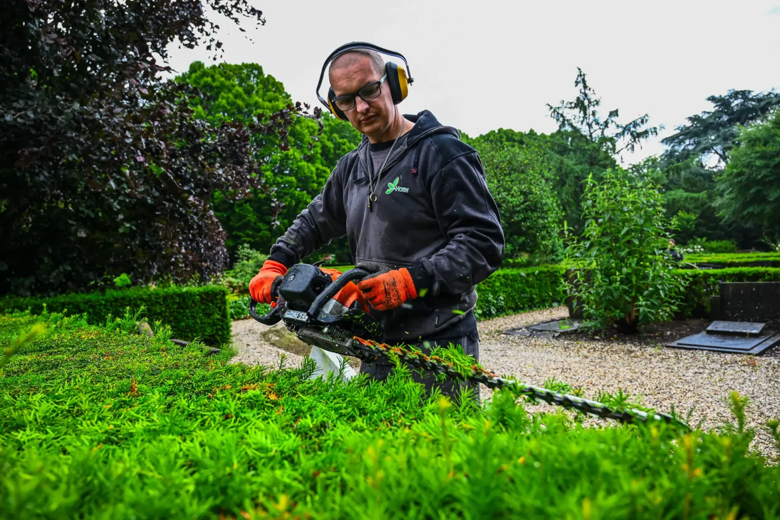 Banen in het groen Groningen