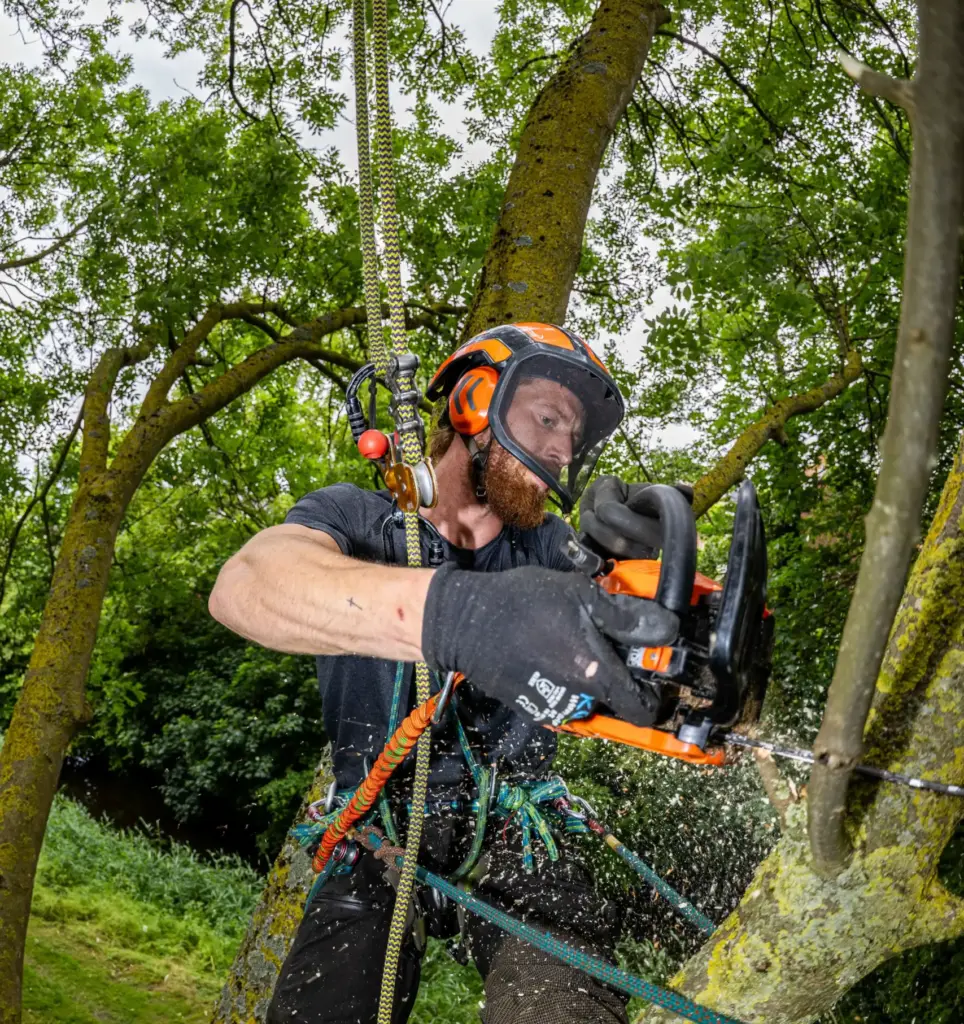 Boomverzorger vacature