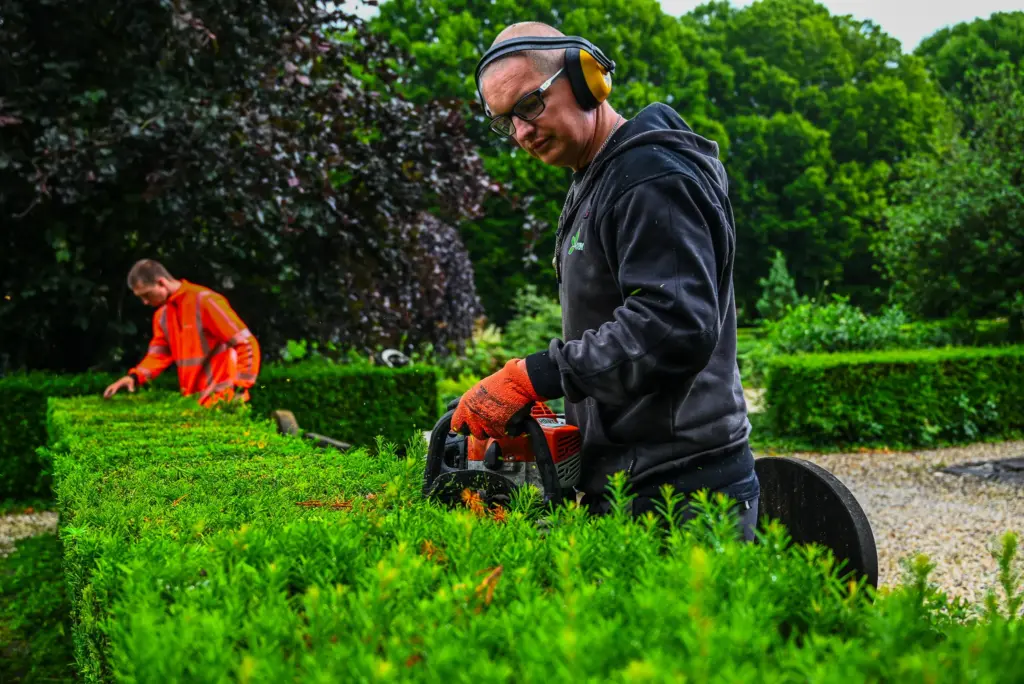 Doorgroeien binnen het groen